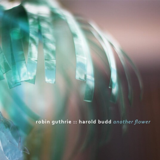 Robin Guthrie, Harold Budd Another Flower CD Robin Guthrie, Harold Budd Another Flower CD