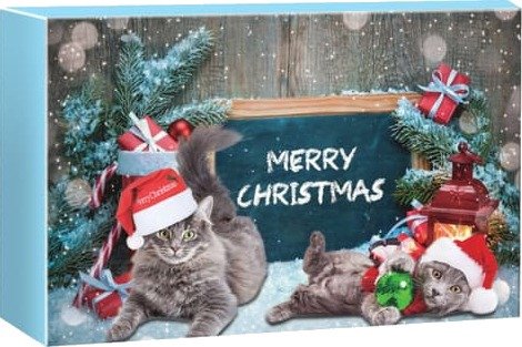 Kattens adventskalender 2026 Nedtelling til jul Kattens adventskalender Juleblindboks