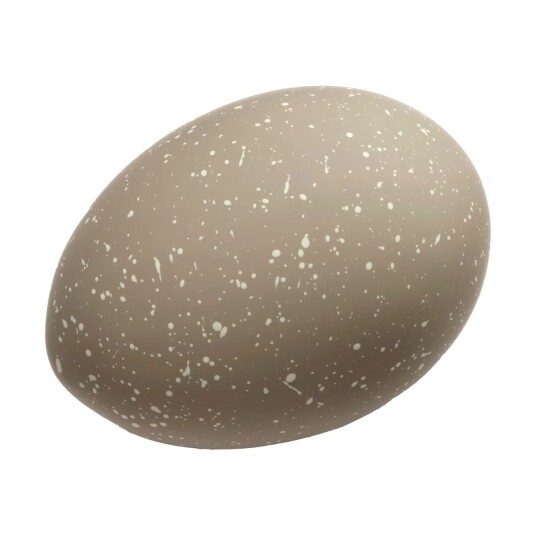 Cooee Design Easter Deco egg 2-pk Sand Cooee Design Easter Deco egg 2-pk Sand