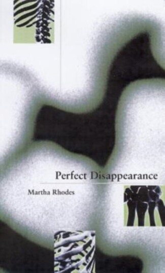 Perfect Disappearance Perfect Disappearance