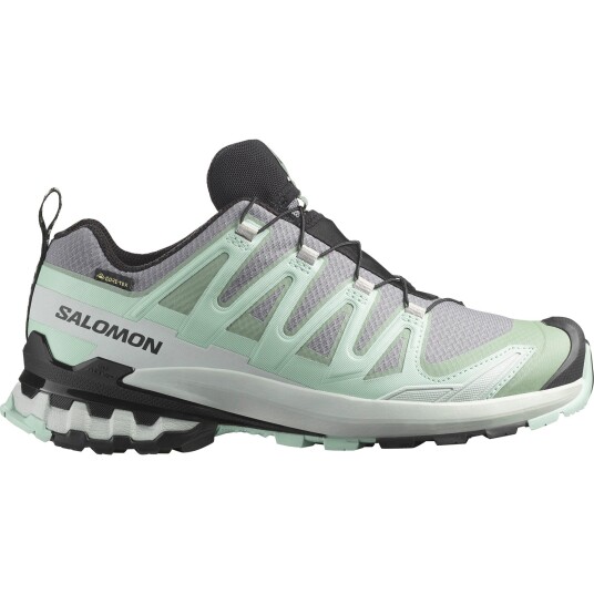 Salomon XA PRO 3D V9 GTX Dame QuSh/Lily/Bluhaz 38