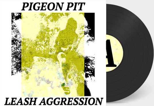 Leash Aggression