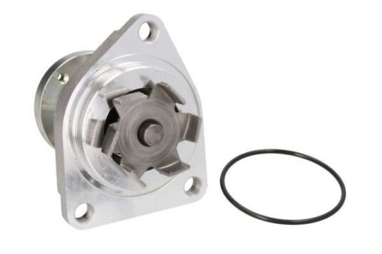 THERMOTEC D1X027TT Vannpumpe