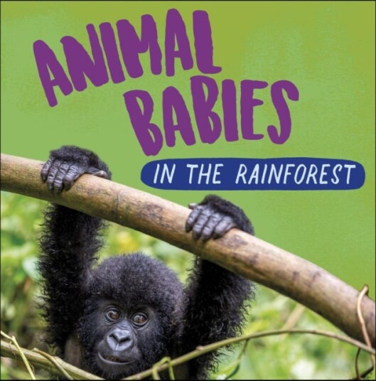 Animal Babies: In The Rainforest Av Sarah Ridley