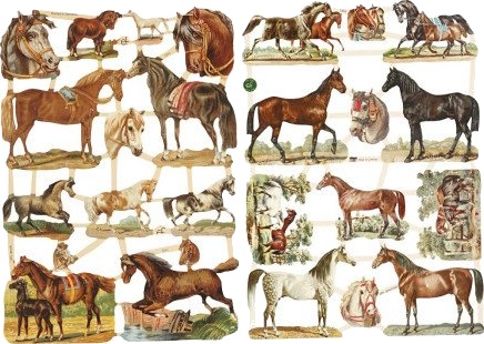 Diverse Blanke bilder hester ark 16.5x23.5 cm 2 ark 1 pk