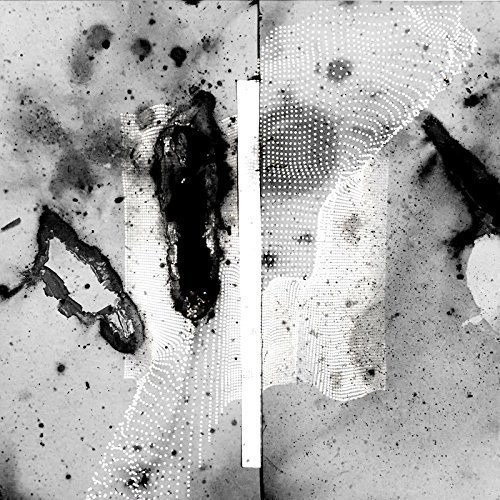 Vipassana Vinyl