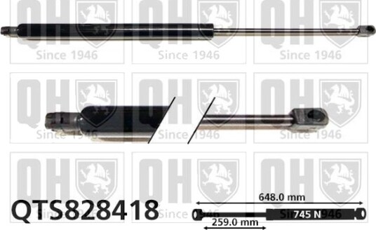 QUINTON HAZELL QTS828418 Baklukedemper