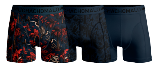 Muchachomalo Palm Birds 01 3pk Boxer Print/print/solid XX Large
