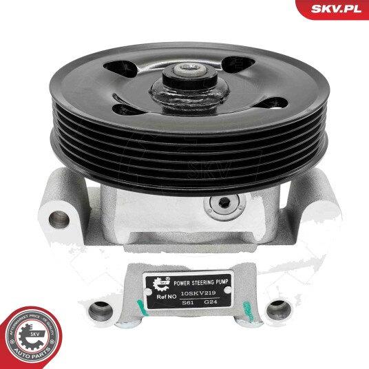 Servopumpe ESEN SKV 10SKV219