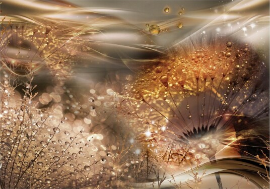 Fototapet Dandelions' World Gold 300x210 - Finnes i flere størrelser
