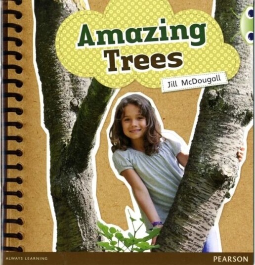 Bug Club Guided Non Fiction Year 1 Green A Amazing Trees Av Jill Mcdougall