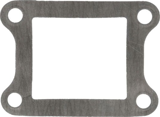 Membran forgasser ATHENA S410210010022