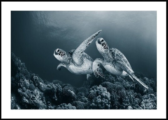 Twin dance Plakat / 30x40cm Twin dance Plakat / 30x40cm