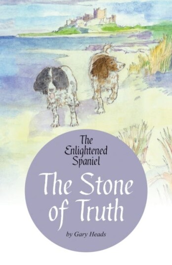 The Stone Of Truth Av Gary Heads
