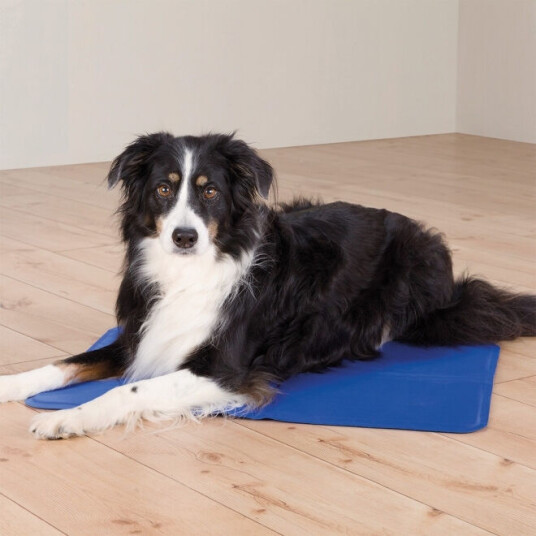 Trixie Kjølematte 90x50 cm Blå for Hund