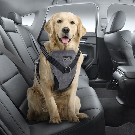 All For Paws Dog Bilsele (Xl)