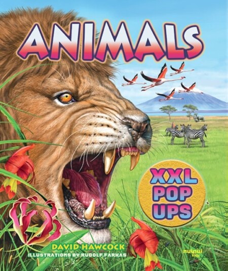 Animals XXL pop ups Animals XXL pop ups