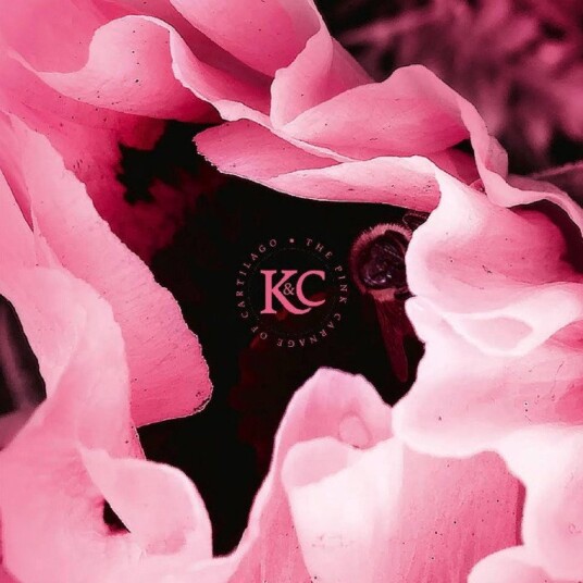 Kolman Calvert The Pink Carnage Of Cartilago Vinyl