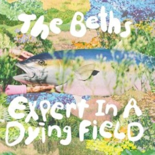 The Beths Expert In A Dying Field Limited Edition Uk Vinyl