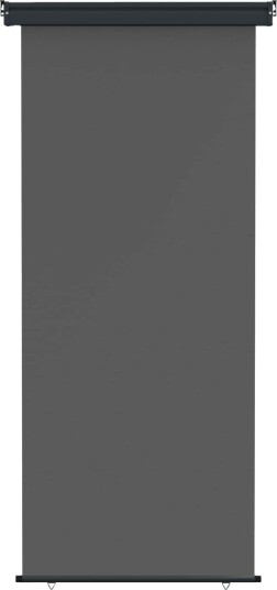 vidaXL Balkong Side Markise 100 x 250 cm 100% polyester jern stål