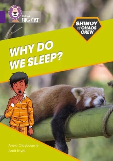 Shinoy And The Chaos Crew: Why Do We Sleep? Av Anna Claybourne