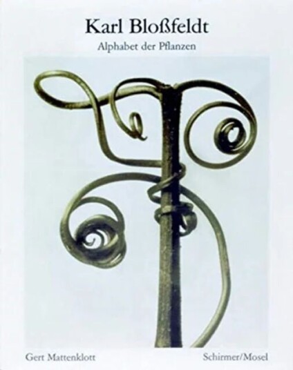 Karl Blossfeldt: Alphabet Of Plants
