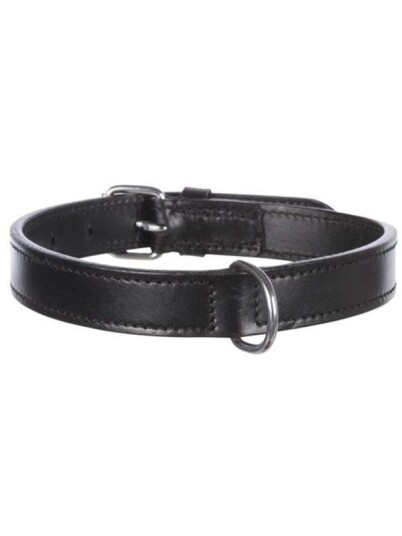 Trixie Active collar leather M: 3946 cm/22 mm black
