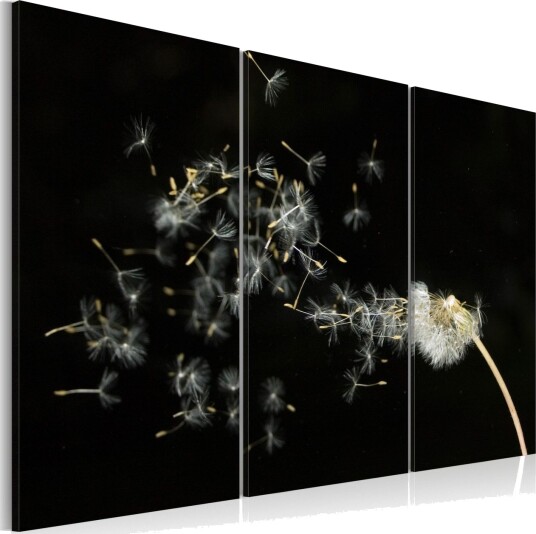 Bilde DandelionsThe Transience 60x40 Artgeist sp. z o. o.