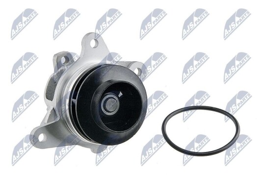 Vannpumpe NTY CPW NS 089 Vannpumpe NTY CPW NS 089