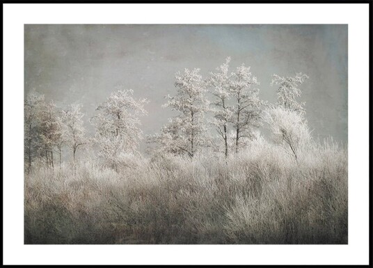 Cold morning Poster Plakat / 40x50cm