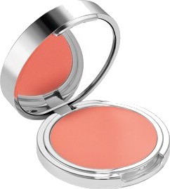 Rodial Cream Blush 4.5 gram Velvet Peach Rodial Cream Blush 4.5 gram Velvet Peach