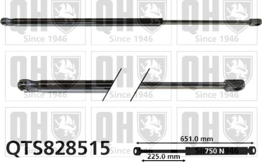 QUINTON HAZELL QTS828515 Baklukedemper