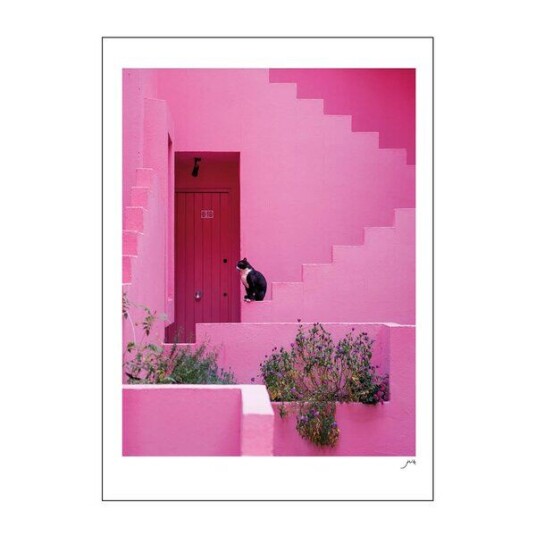 Poster & Frame FLIP poster 50x70 cm pink panther