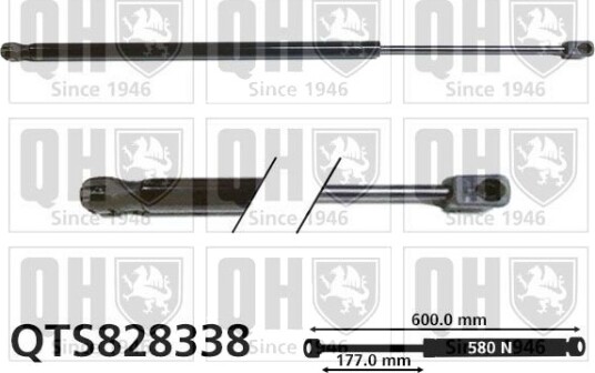 QUINTON HAZELL QTS828338 Baklukedemper