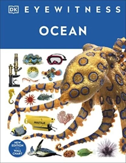 Ocean av DK