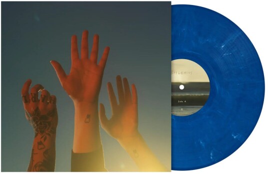 Boygenius  Record  LP/Vinyl