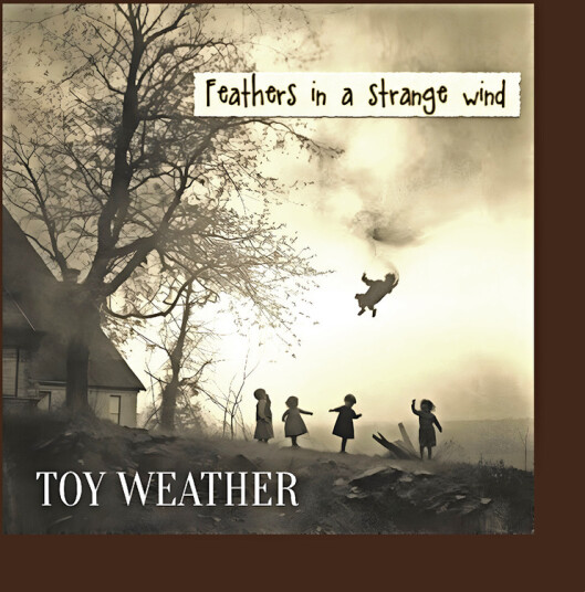 Toy Weather Feathers In A Strange Wind CD
