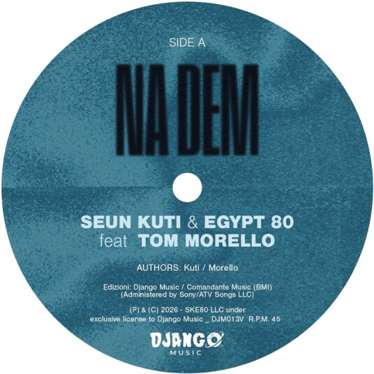 Na Dem Problems Vinyl