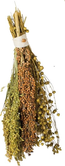 Jr Farm Solmoden Hirse 130 G