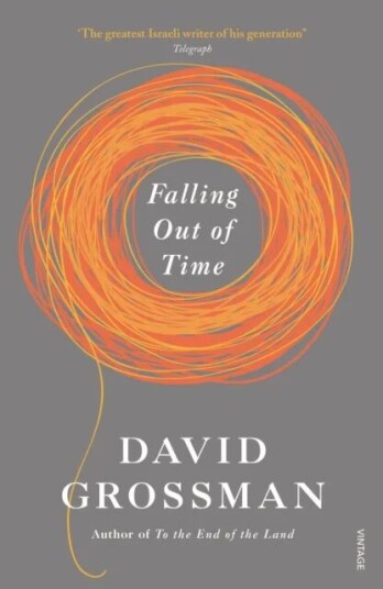 Falling Out Of Time Av David Grossman