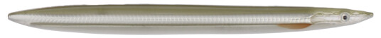 Gear Savage Gear 3d Line Thru Sandeel Gear Savage Gear 3d Line Thru Sandeel