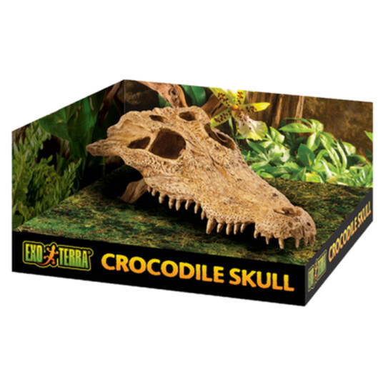 Krokodillehodeskalle Sikkert Gjemmested Beige 22 cm Krokodillehodeskalle Sikkert Gjemmested Beige 22 cm