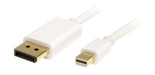 StarTech.com Mini DisplayPort to DisplayPort Adapter Cable - DisplayPort-kabel