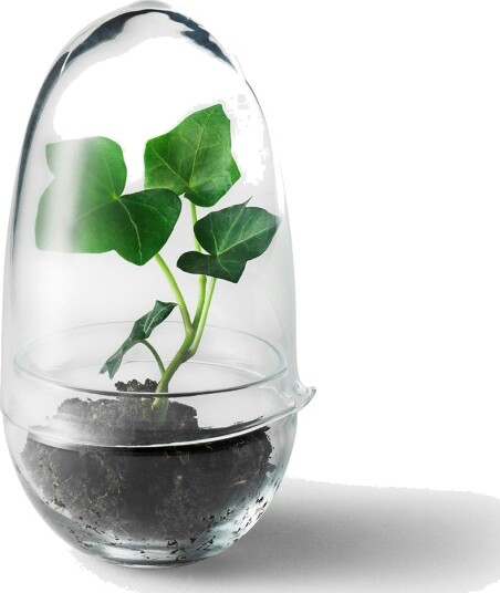 Design House Grow vekstkuppel small Ø8 cm