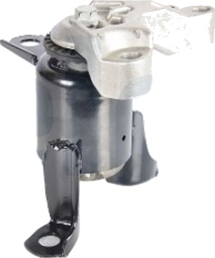 DELPHI TEM270 Motorfeste DELPHI TEM270 Motorfeste