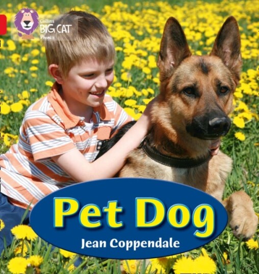 PET DOG  Band 02a/Red a