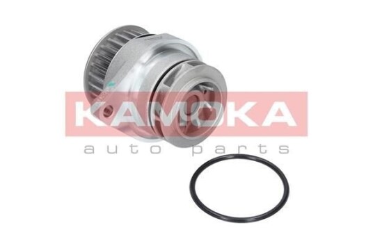 KAMOKA T0249 Vannpumpe