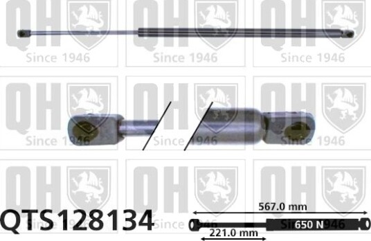 QUINTON HAZELL QTS128134 Baklukedemper