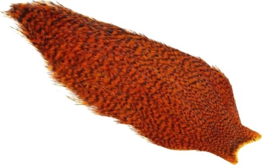 Whiting American Rooster Cape