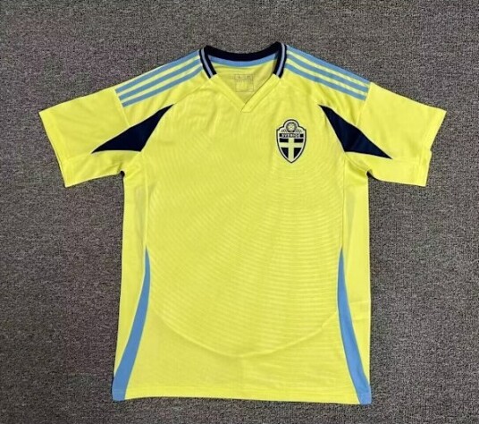 Svensk landslags hjemmedrakt fotball 2024 2025